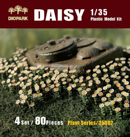 Daisy / sedmokrásky