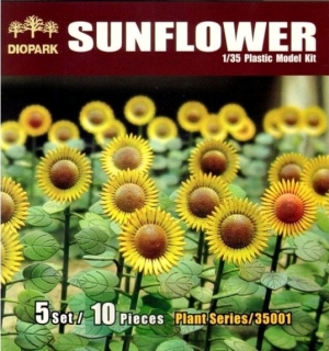 Sunflower / slnečnica