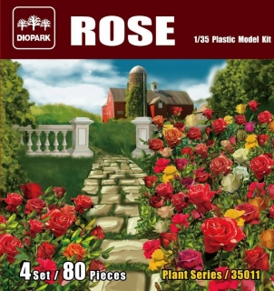 Rose / ruže